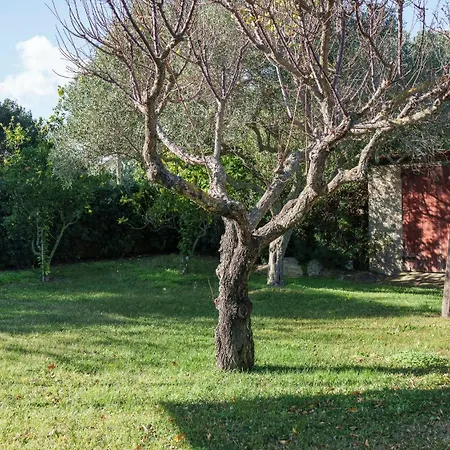 Acqua E Tramonto Apartment